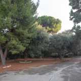 Superiamo cos� un cancello per accedere in un'area verde, dominata da alberi sempreverdi... 